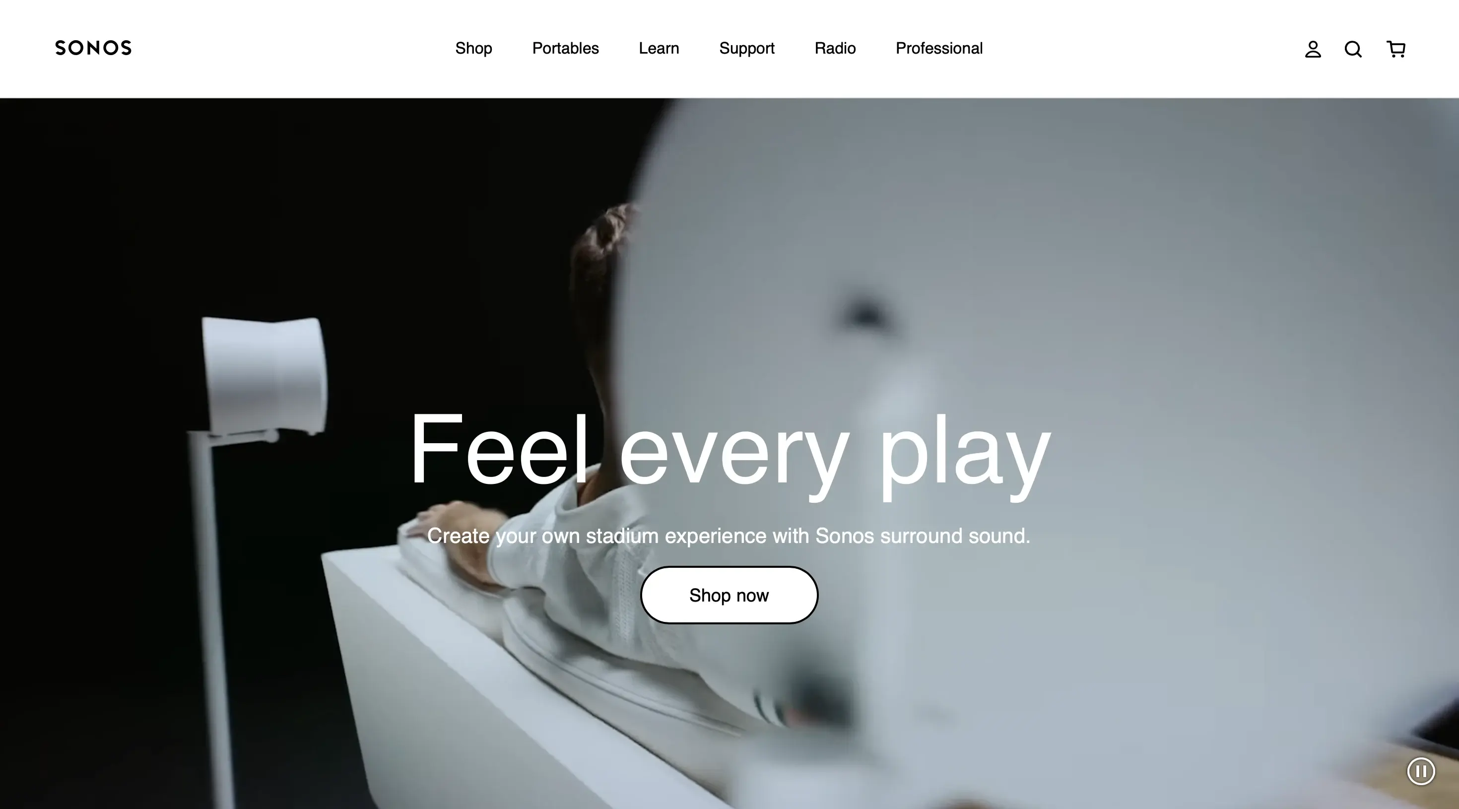 Project preview