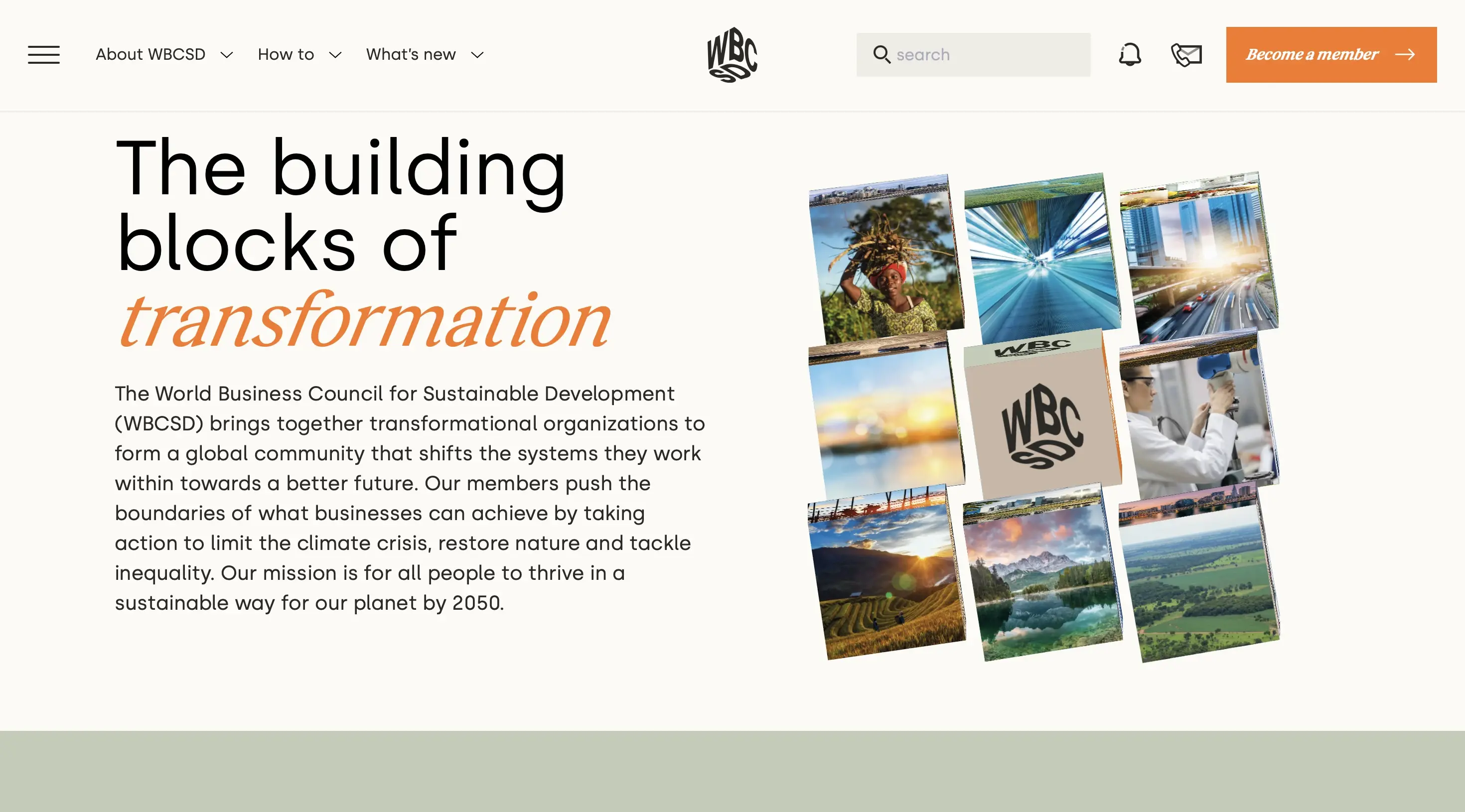 Project preview